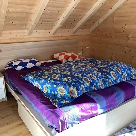 Huettenzauber Lachtal 度假居